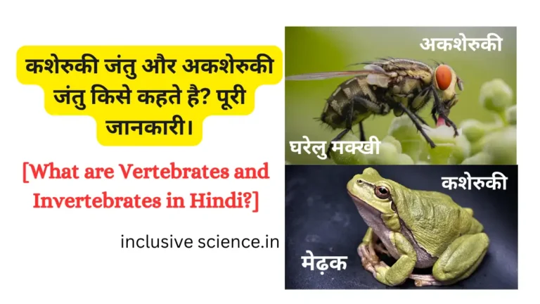Vertebrates and Invertebrates in Hindi