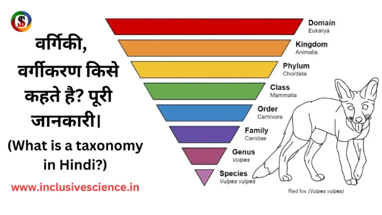 वर्गिकी वर्गीकरण taxonomy in hindi