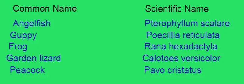 what is Binomial nomenclature in hindi