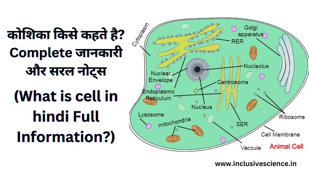 animal cell in hindi