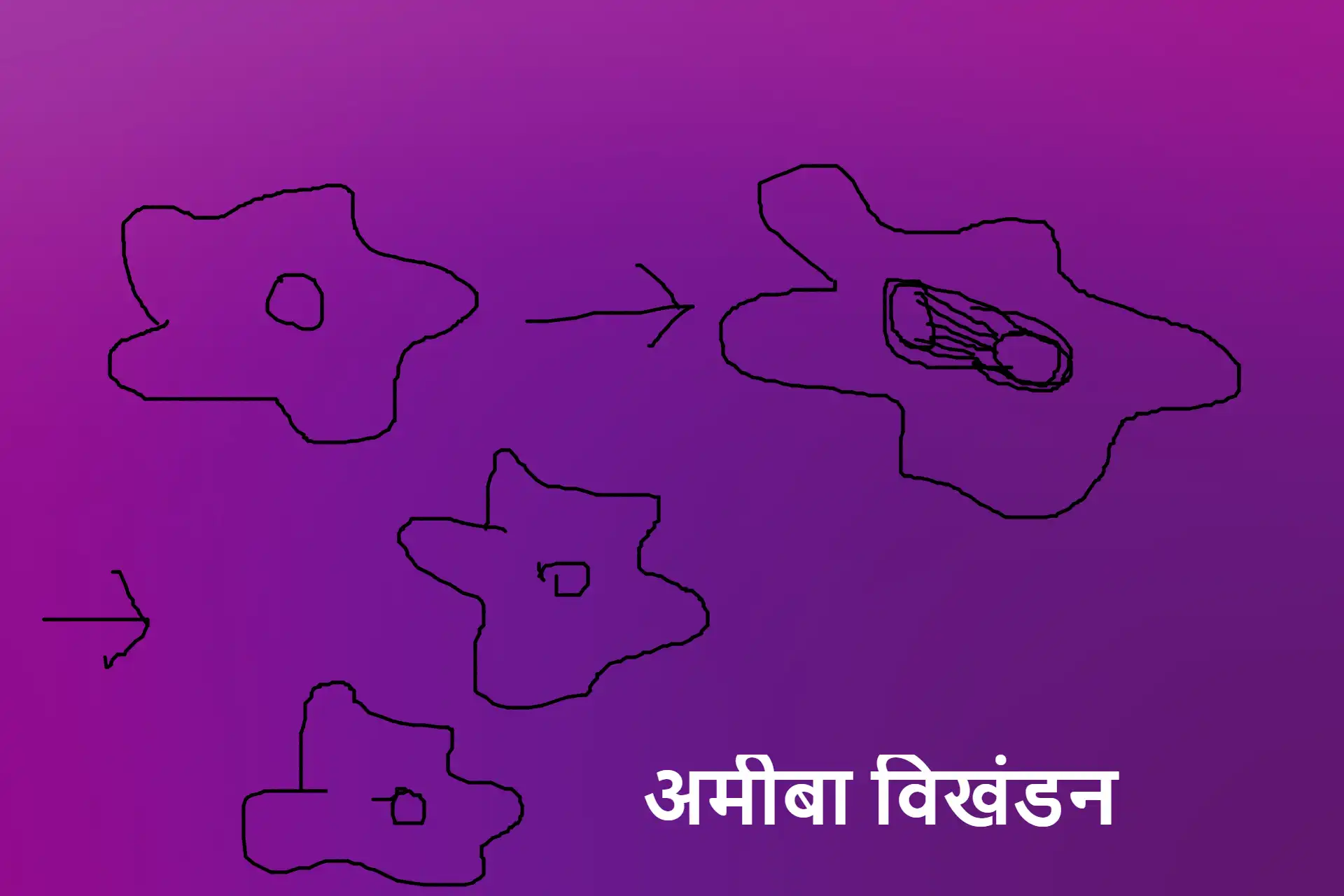 Asexual reproduction in hindi