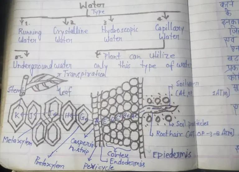 विसरण किसे कहते है, Diffusion in Hindi