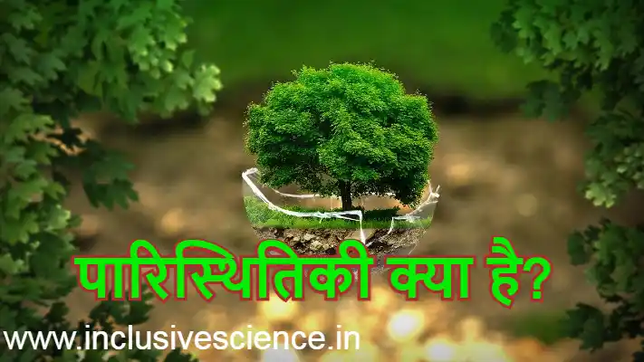 Ecological Pyramid in Hindi