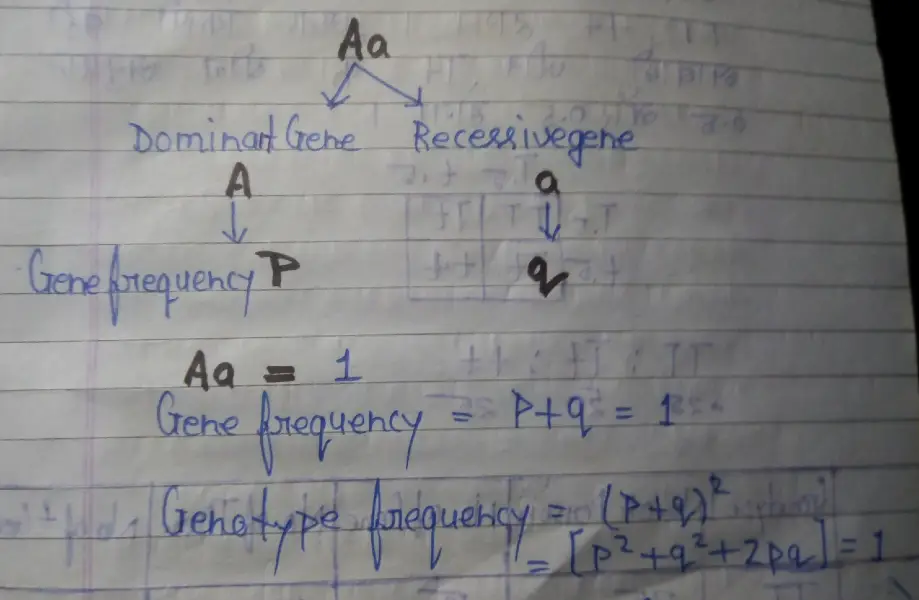 Hardy-Weinberg's low, डार्विनवाद 