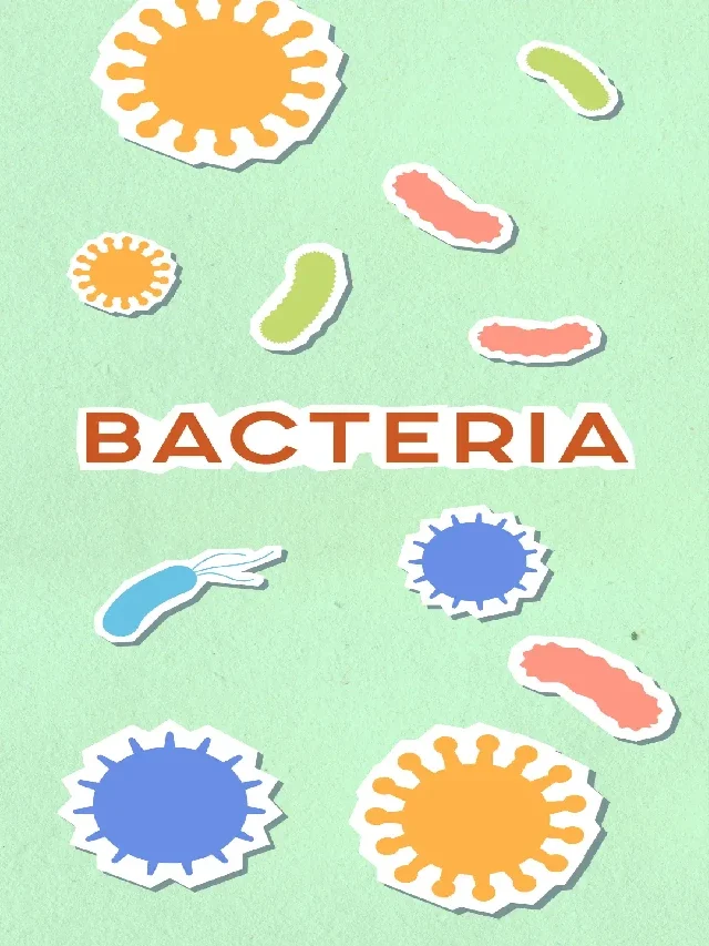 Bacteria in hindi, जीवाणु क्या है?