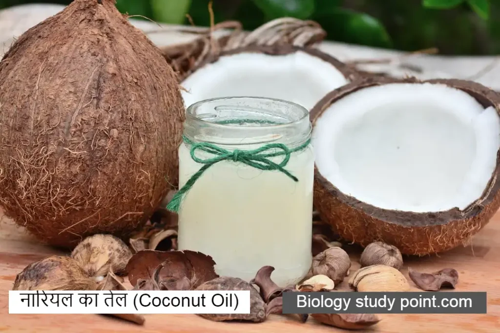 नारियल तेल (Coconut oil in hindi) 