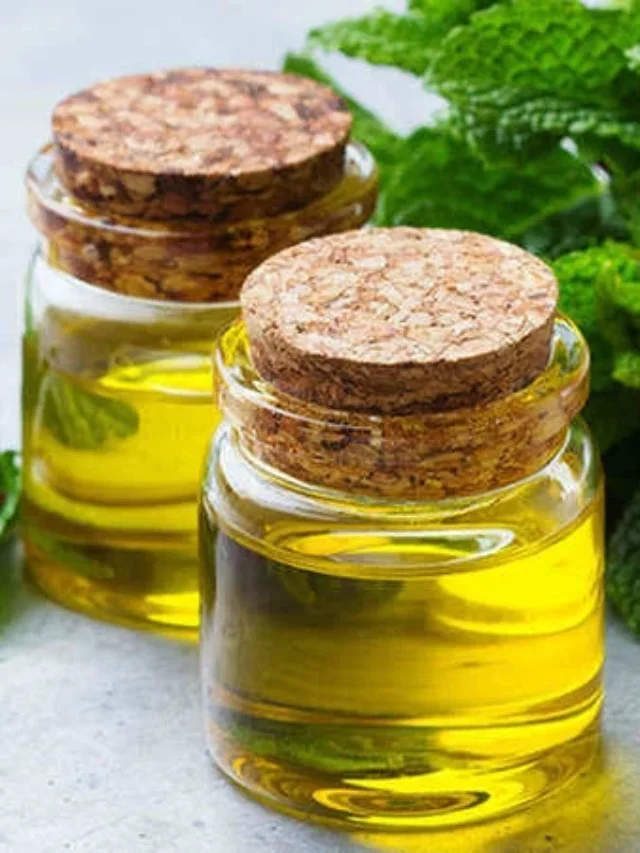 Mentha oil rate देखिये live आज ही |