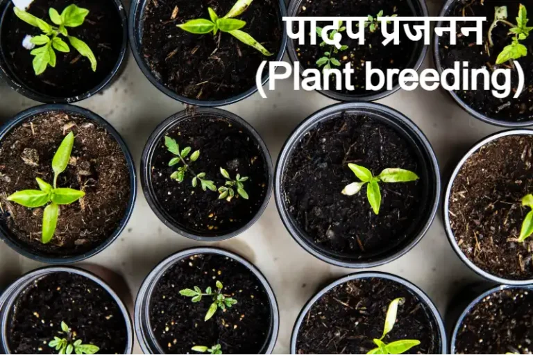 plant breeding in hindi