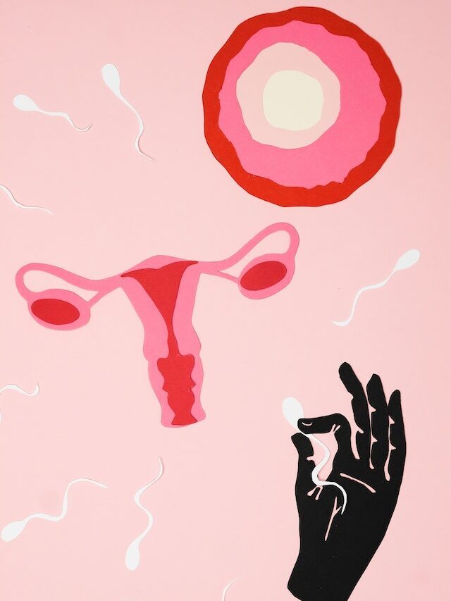 Sexual Reproduction कैसे होता है जानिए इसके बारे में पूरा