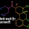 यौगिक किसे कहते हैं compound in hindi