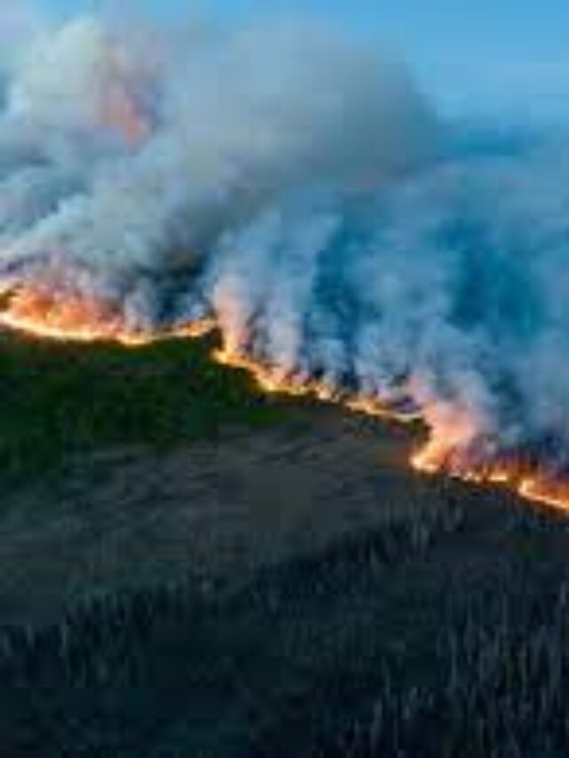 canadian wildfires