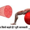 पेशीय ऊतक muscular tissue peshi utak