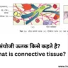 संयोजी ऊतक किसे कहते है sanyoji utak connective tissue