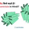 centriole in hindi