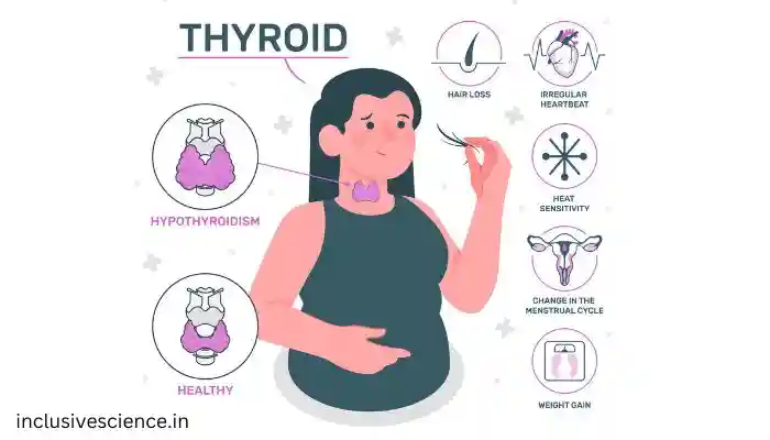 thyroid